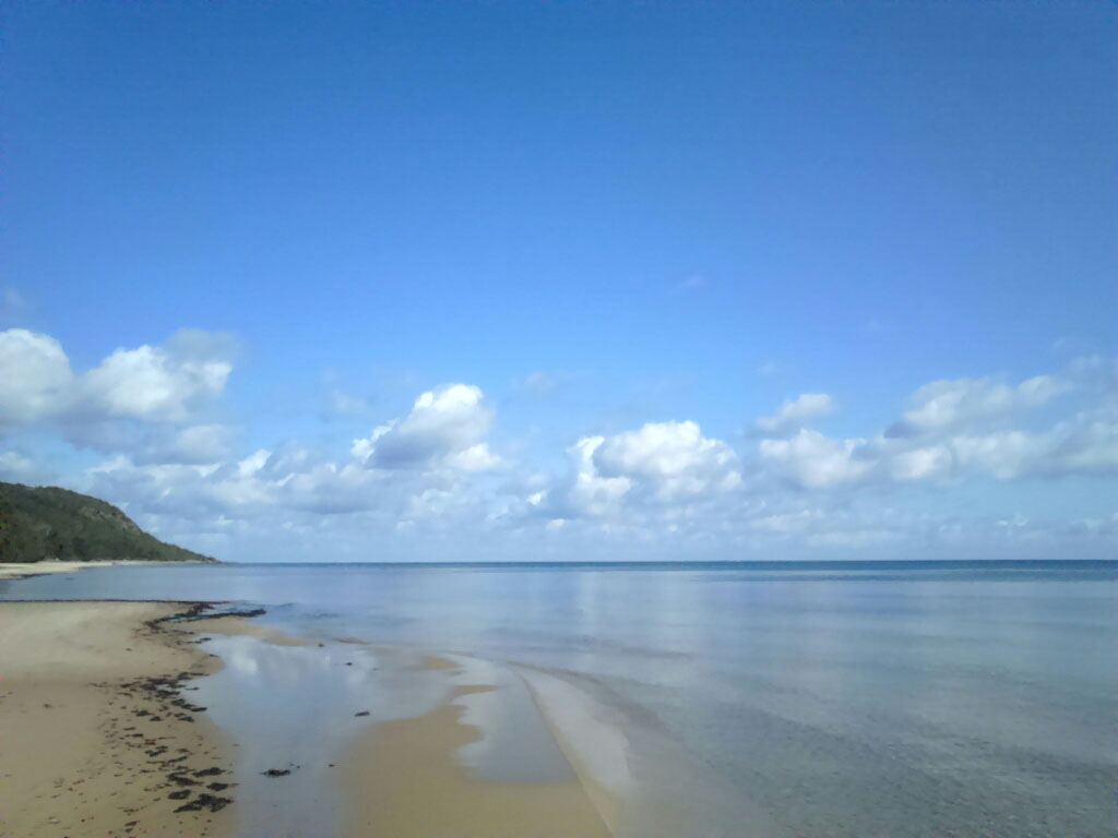 Patricia Tudor-Sandahl - Kalender